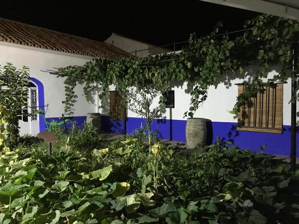 Casa Rural Manchega La Alameda de Cervera Exterior foto