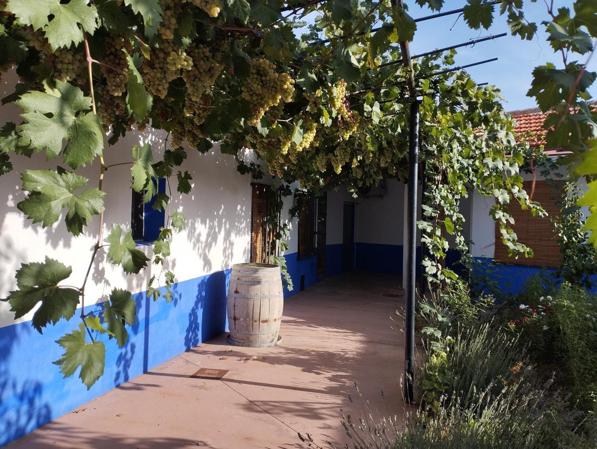 Casa Rural Manchega La Alameda de Cervera Exterior foto